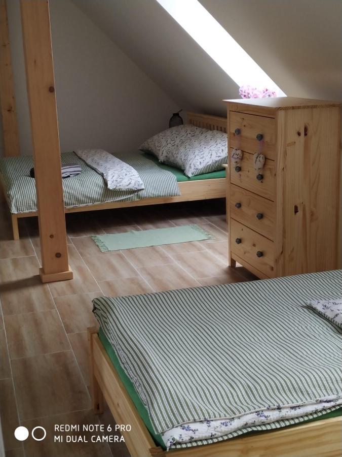 Ubytovani Ve Stodole Stráž nad Nežárkou Buitenkant foto