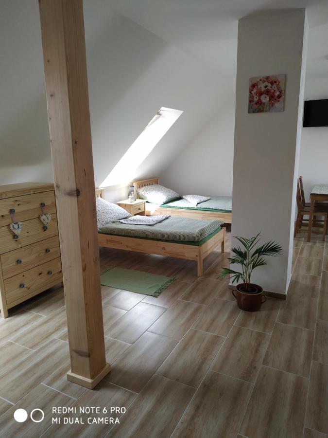 Ubytovani Ve Stodole Stráž nad Nežárkou Buitenkant foto