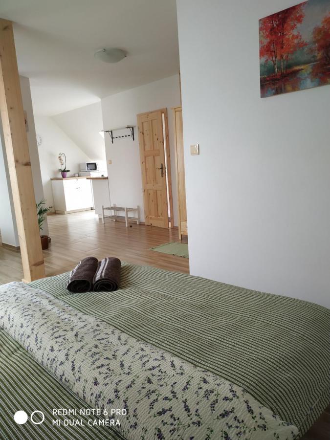 Ubytovani Ve Stodole Stráž nad Nežárkou Buitenkant foto