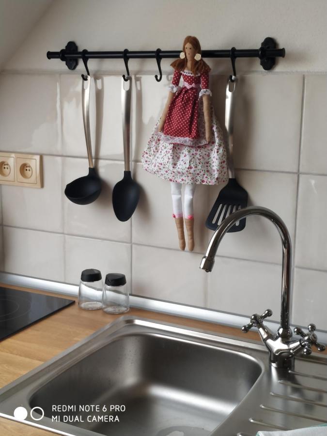 Ubytovani Ve Stodole Stráž nad Nežárkou Buitenkant foto
