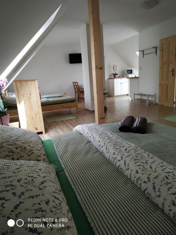 Ubytovani Ve Stodole Stráž nad Nežárkou Buitenkant foto