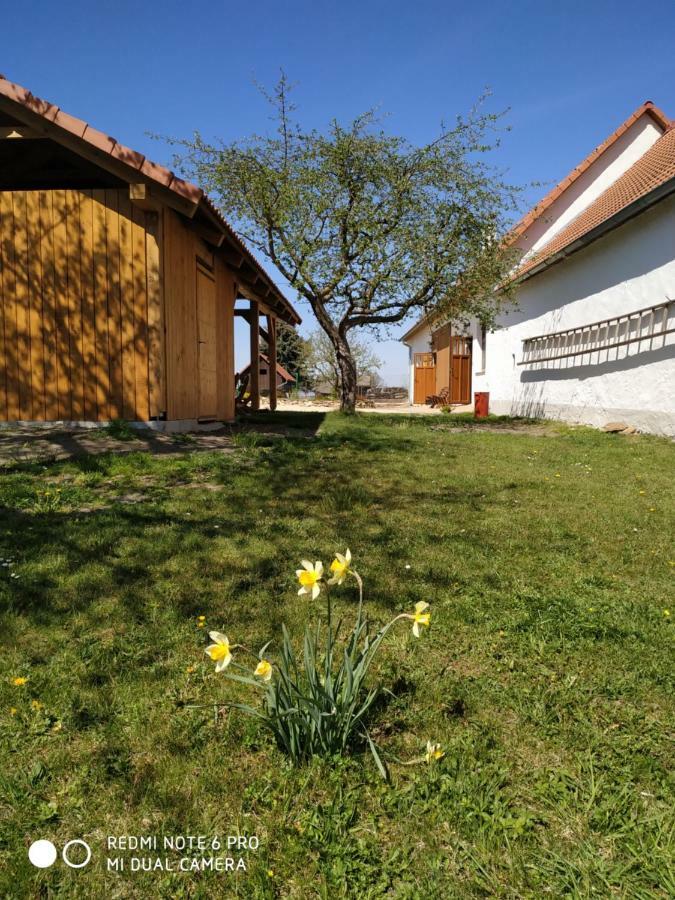 Ubytovani Ve Stodole Stráž nad Nežárkou Buitenkant foto