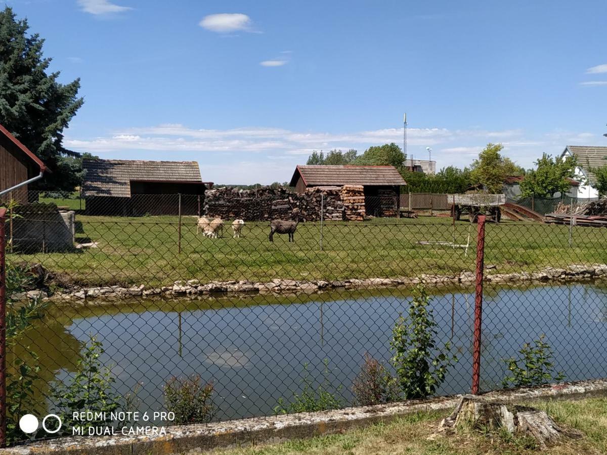Ubytovani Ve Stodole Stráž nad Nežárkou Buitenkant foto