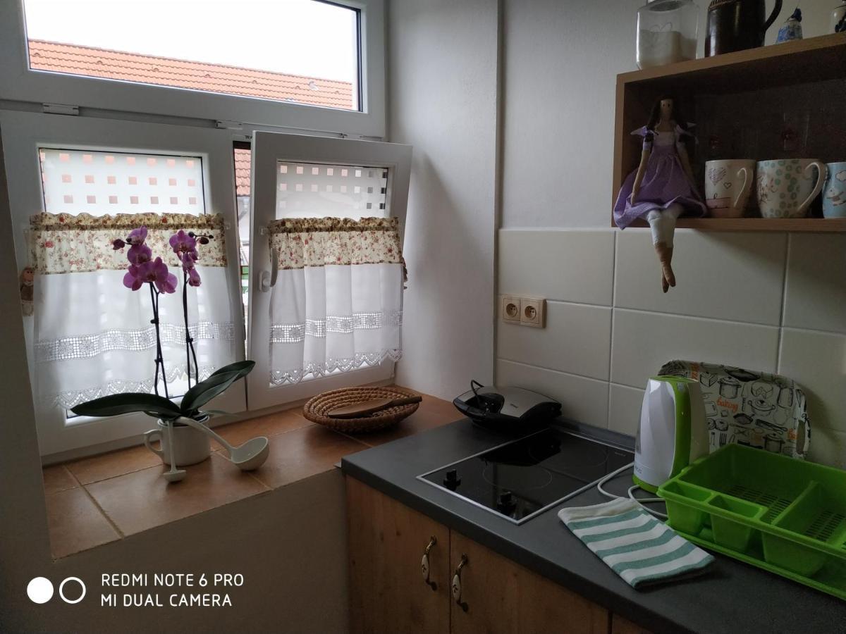 Ubytovani Ve Stodole Stráž nad Nežárkou Buitenkant foto